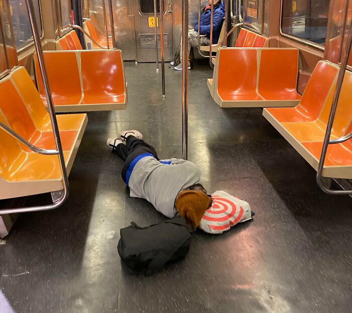 Subway station platform, passenger looks annoyed while pet stays nearby