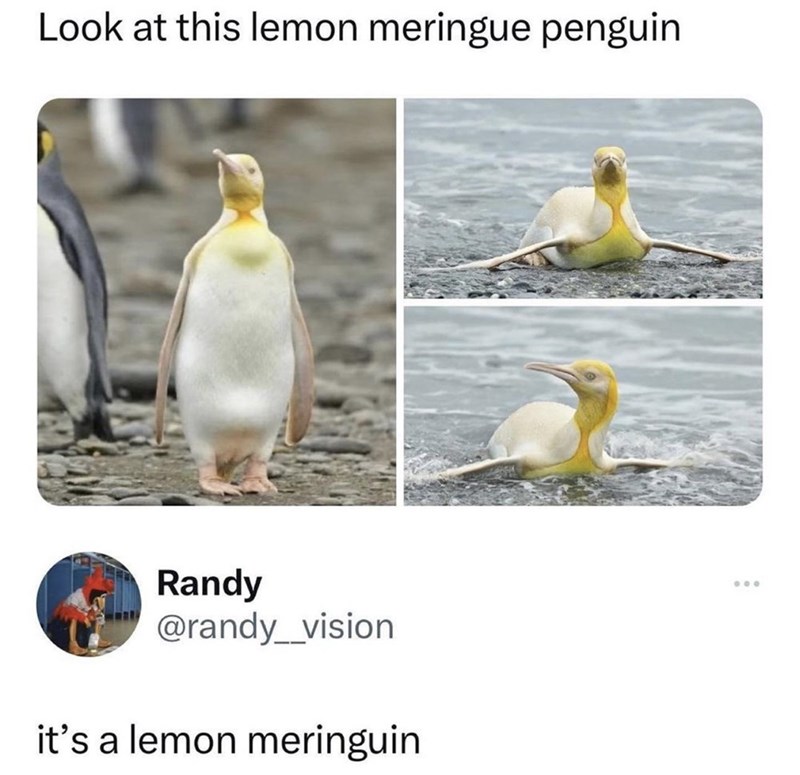 9. You just had to be corrected