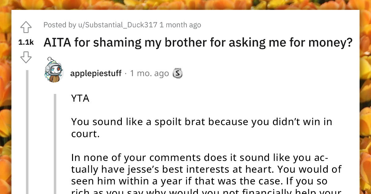 Redditor Shames Their Brother For Asking Money After Taking A Guardianship He Could Not Afford