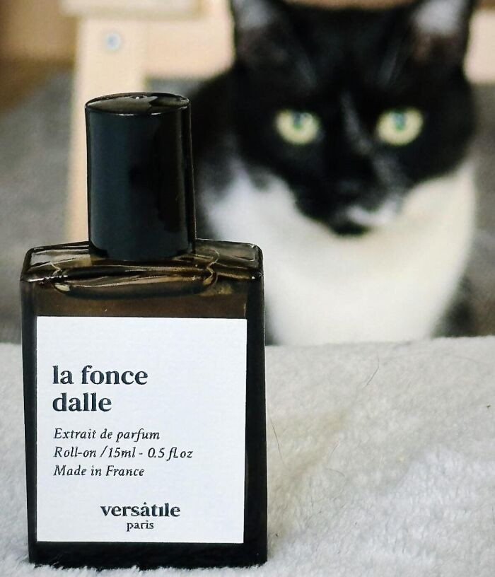 La Foncedalle By Versatile Paris