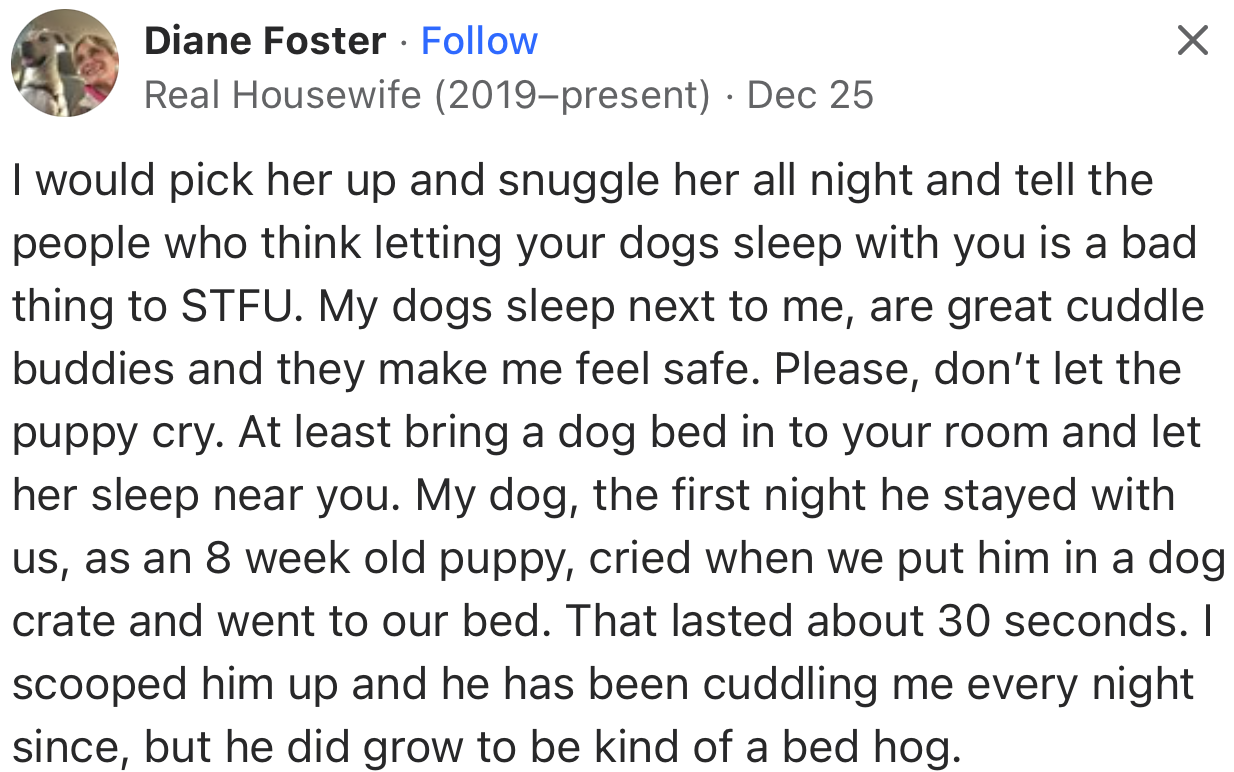 Snuggling with the pup might be the trick