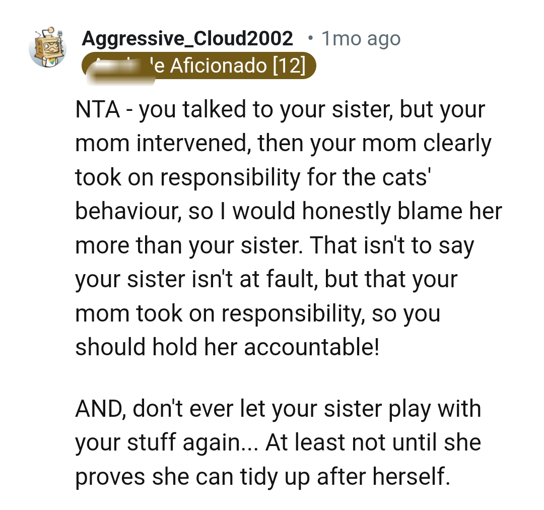 This Redditor Would Blame OP's Mom More Than They Would Blame OP's Sister