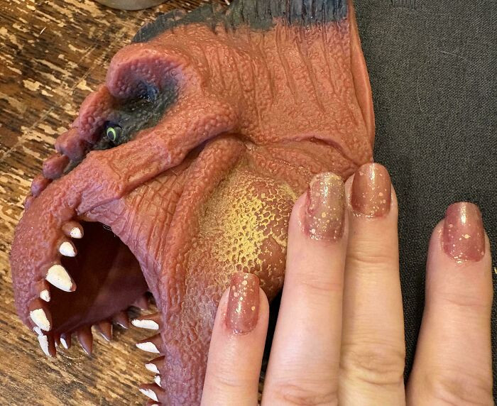 "My Nails And This Rubber T. Rex Head"