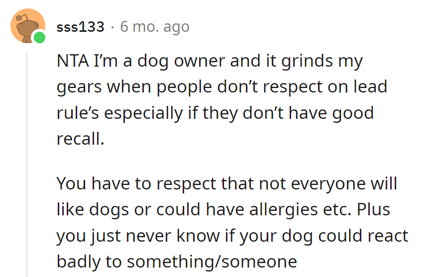 Leash rules: the unsung heroes of canine etiquette. Allergies and surprise reactions—it's the real-life soap opera of doggy walks.