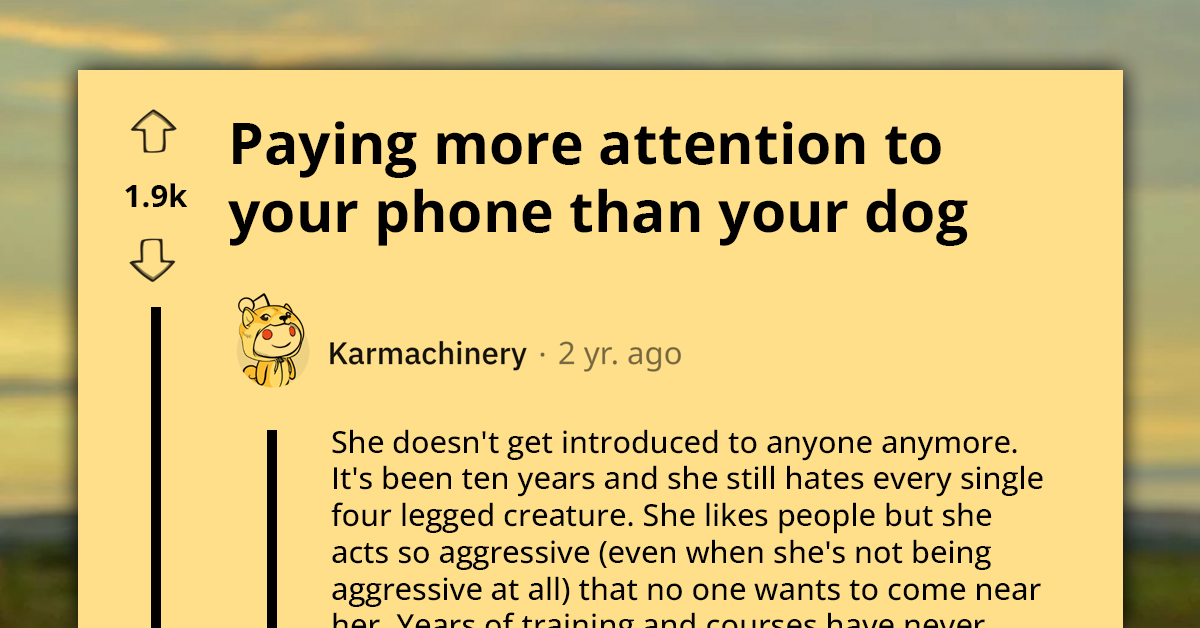 Man Ridiculed Online For Prioritizing Phone Over Dog, Resulting In Hilarious Accident Caught On Camera