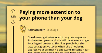 Man Ridiculed Online For Prioritizing Phone Over Dog, Resulting In Hilarious Accident Caught On Camera