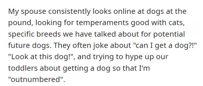 The spouse constantly looks for dogs, taking into account the breeds that are good with cats. At the same time, while seeing the furballs online, they also try to get their kids to be excited about getting a new pet.