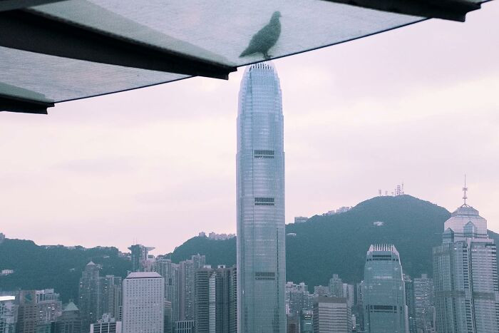 27. I'm on top of the world