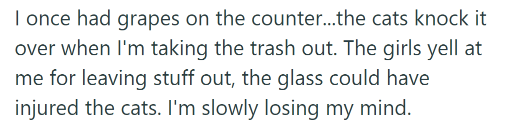 Left grapes on the counter; cats knock them over. The girls blame OP, stress mounts, and sanity slips.