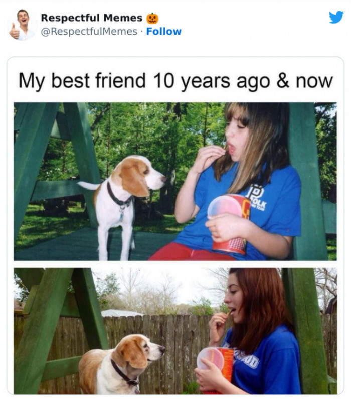 18. The Dog Looks Like It's Smiling at Her in the Second Photo