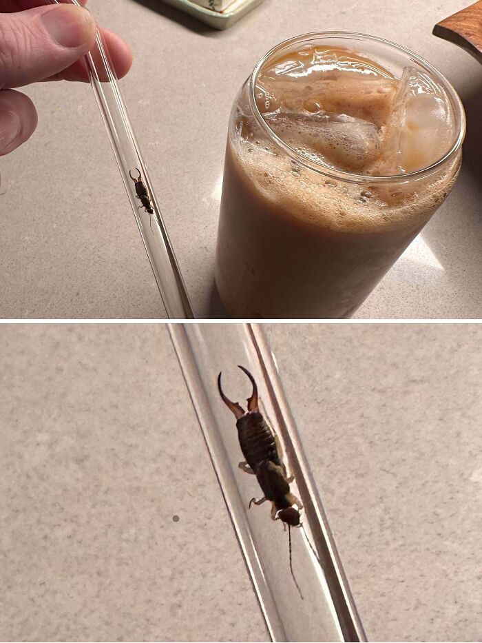 "My Morning Coffee. Almost Sucked On This"