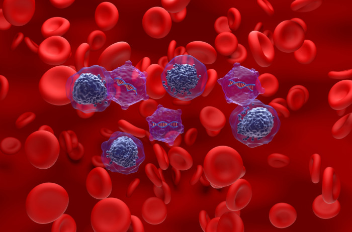 Tatiana Schlossberg tribute highlighting acute myeloid leukemia awareness and remembrance