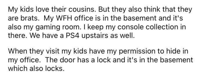 The OP says his children love their cousins, but their bad behavior can sometimes become a bit much for them.