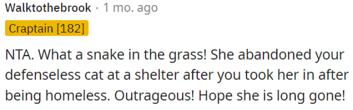 She heartlessly left OP's cat at a shelter after OP gave it a home when it was homeless.