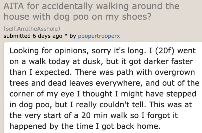 The OP went out on a walk and stepped on poo. But she wasn't sure at first.