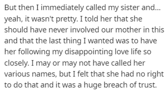 OP was furious that his sister shared everything to their mother
