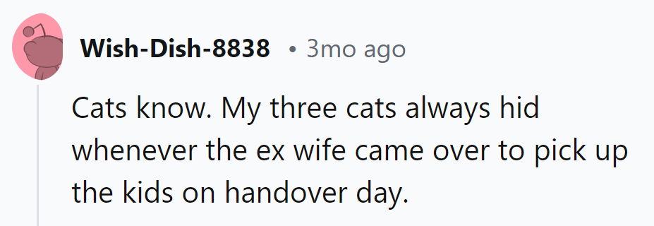 Even cats have custody preferences!