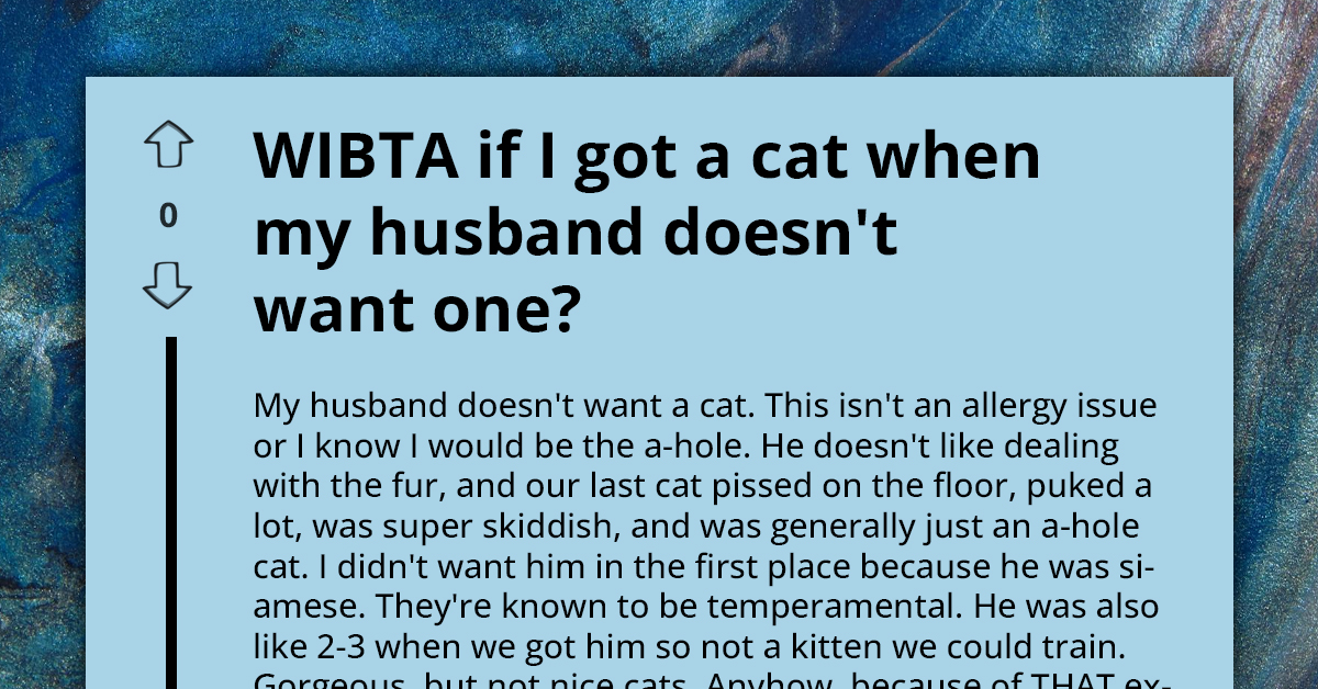 Woman Gets Called Out Online For Considering Cat Adoption Despite Husband's Clear Opposition