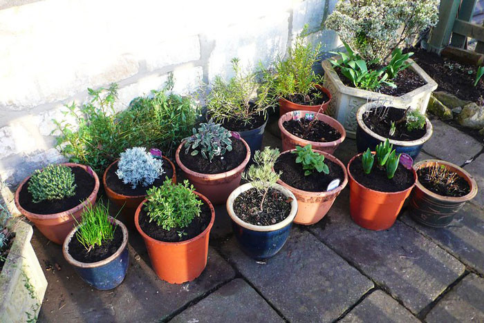 A 16-year-old boy posted a sticky situation he had with his dad on Reddit—apparently, he's been giving him the silent treatment after his plants got thrown away.