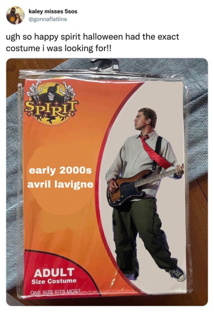 3. A Fake Spirit Halloween Costume of Early 2000s Avril Lavigne