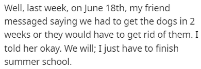 OP's Friend Told Her That She Needs to Take the Dogs Back Within Two Weeks