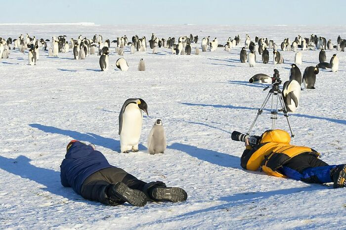 Working in Antarctica