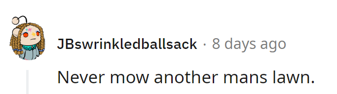 Leave the mowing to the pros—or at least the owners!