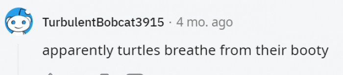 23. It's not exactly breathe but more like absorb oxygen through their booties