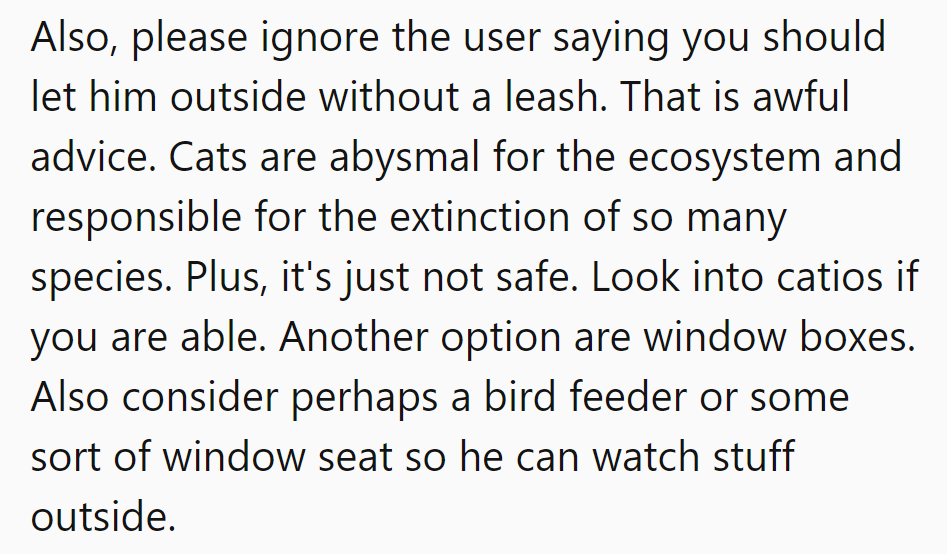 Forget about letting him roam freely outside—it’s a cat-astrophe for the environment and unsafe!