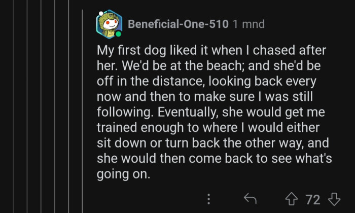 Some dogs enjoy getting chased.