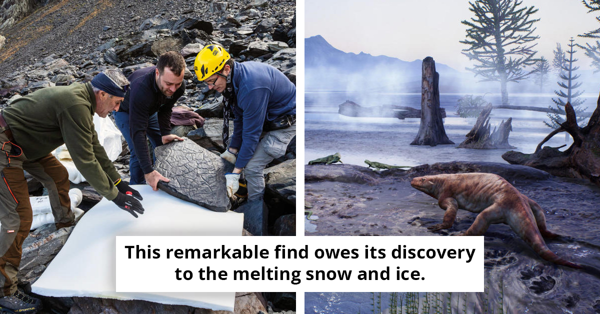 Hiker Discovers 280-Million-Year-Old Ecosystem Beneath Melting Alpine Snow