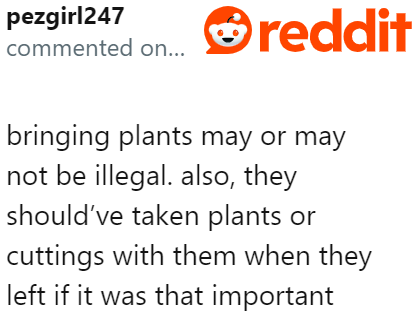Who knows, the plants could be illegal.