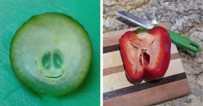 30 Hilarious Photos Of Pareidolia Found In Ordinary Objects Around Us