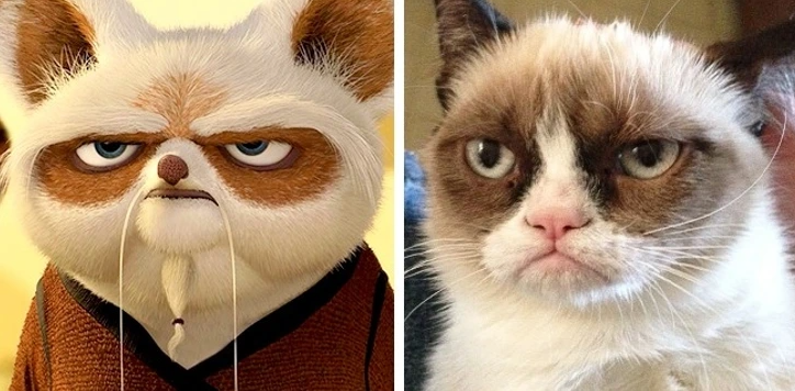 5. Master Shifu - Kung Fu Panda