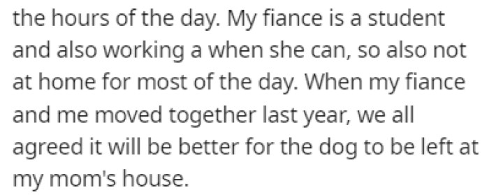 OP and His Fiancée Are Busy and They Don't Have the Time Needed to Take Care of a Dog