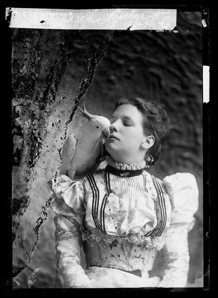 "Glass Negative Of Bertha Barber With Her Pet Parrot, Circa 1890s. Cm Bell Estudio"