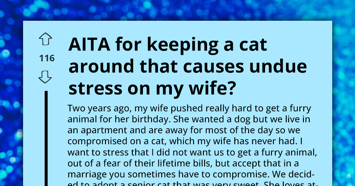 Husband's Attachment To Cat Sparks Marital Ultimatum Over Wife's Stress And Well-being