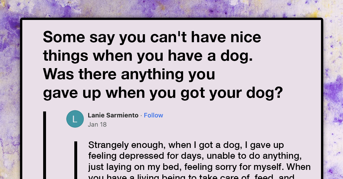 Pet Parents Reveal Things They Had To Give Up After Getting Their Dogs