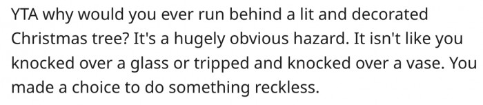 4. Chasing a dog behind a Christmas tree is reckless.
