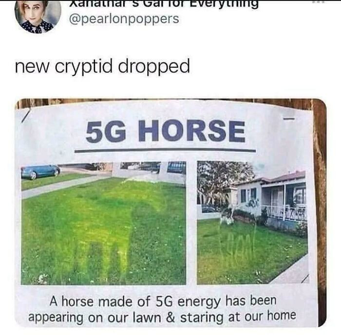 "5G Cell Tower Horse"