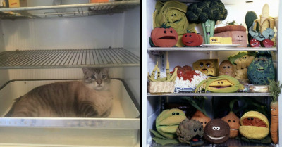 An Online Group Shares Images Of Surprising Items Found In Fridges And Here Are 35 Of The Most Unexpected Ones