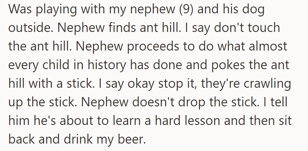 OP's Nephew Pokes Anthill Despite Warnings. He Sips Beer, Expecting a Lesson.