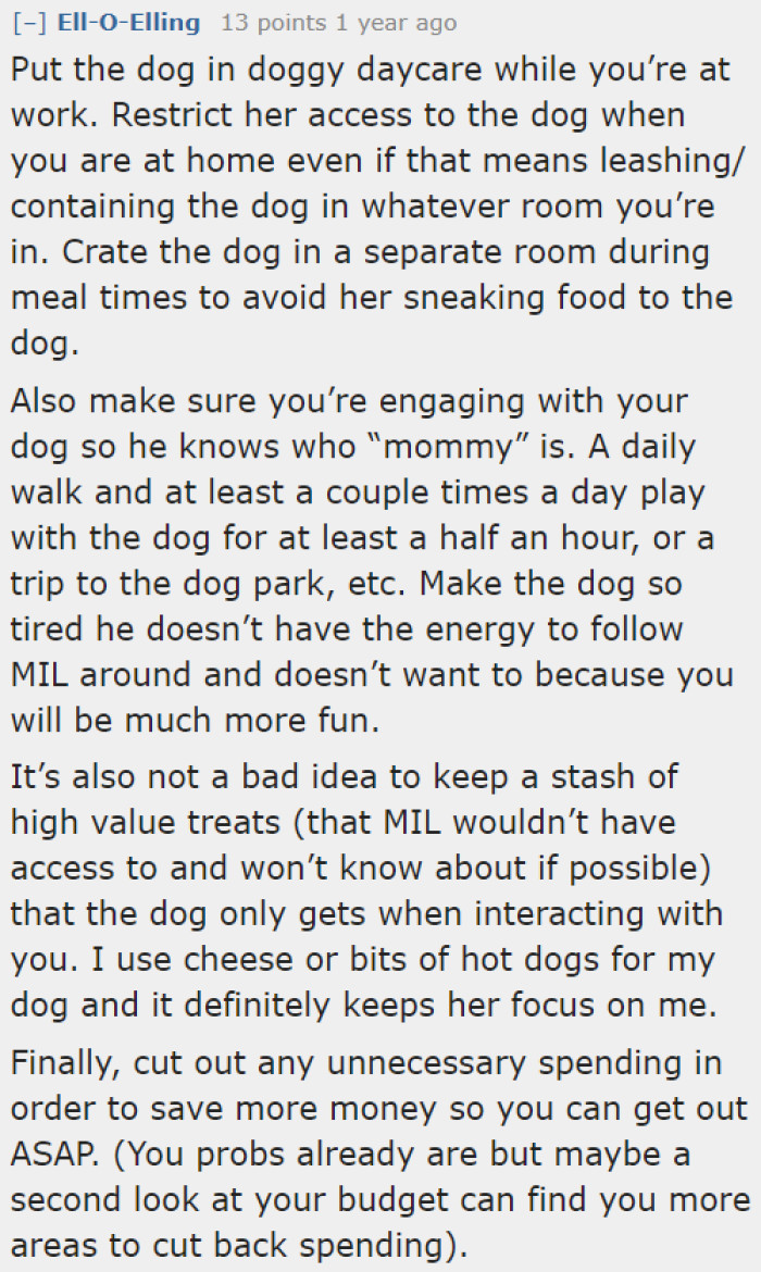 It Would Have Been Better If They Had Left Their Pet at a Doggy Daycare.