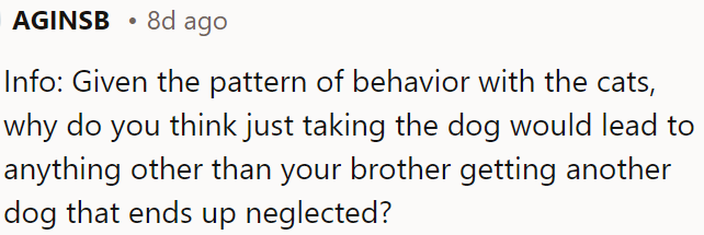 Given OP's brother's history, he might get another dog and repeat the cycle.