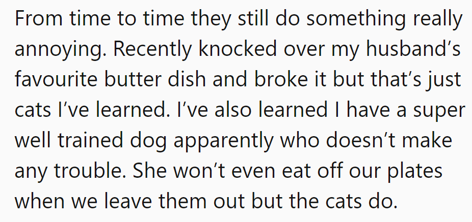 Cats: masters of mischief. Meanwhile, the dog's a saint—no table surfing here!