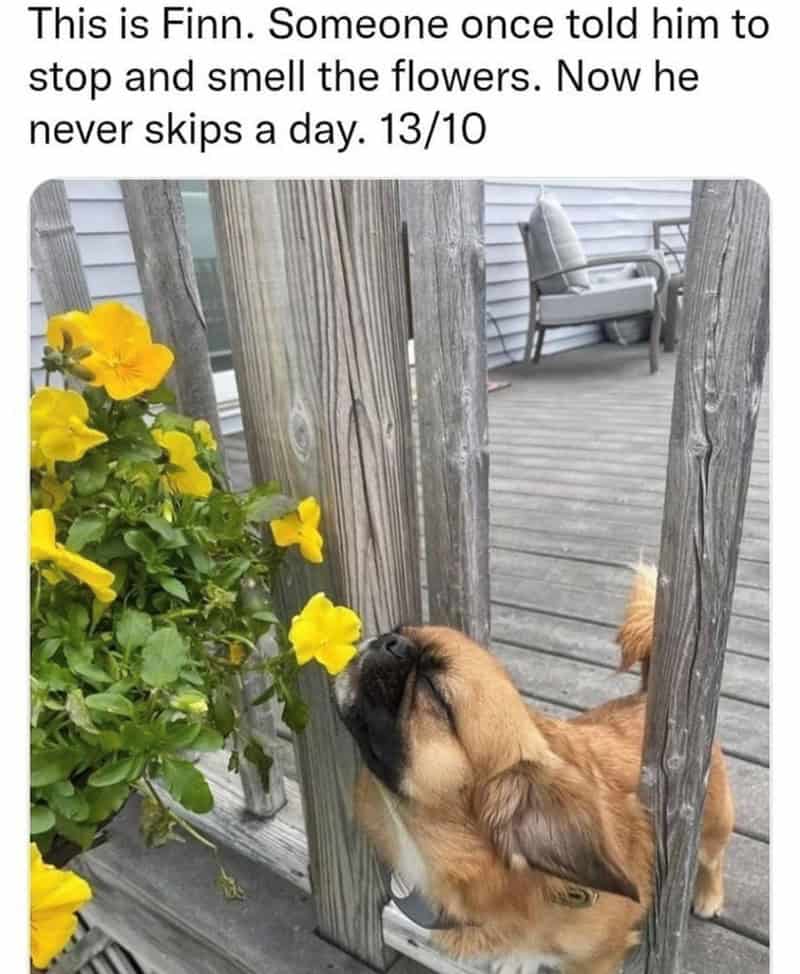 6. Finn is a man of culture.