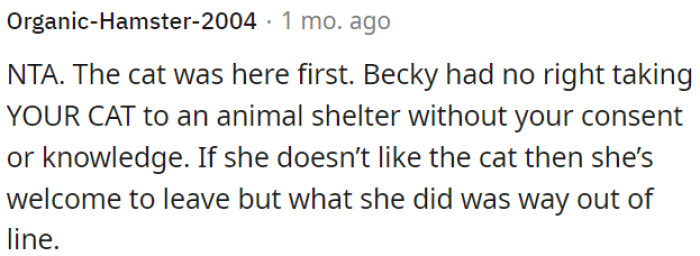 If she doesn't want the cat, she should have just left, but what she did was wrong.