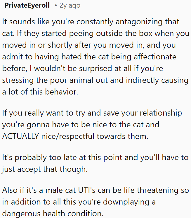 If OP genuinely wants to salvage his relationship, he must treat the cat with kindness and genuine respect.