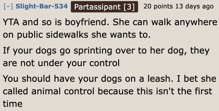 A user points out the importance of a leash.