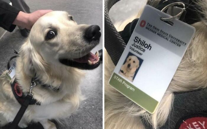 "My Hospital Hired An Employee Whose Only Job Is To Go Around Saying Hi To Other Employees While They Work"